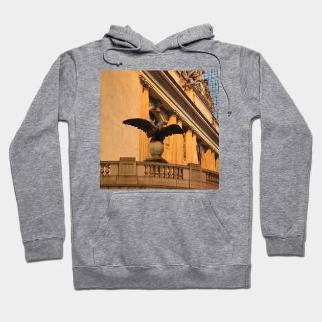 Spread your Eagle Wings and fly Hoodie by Christine aka stine1